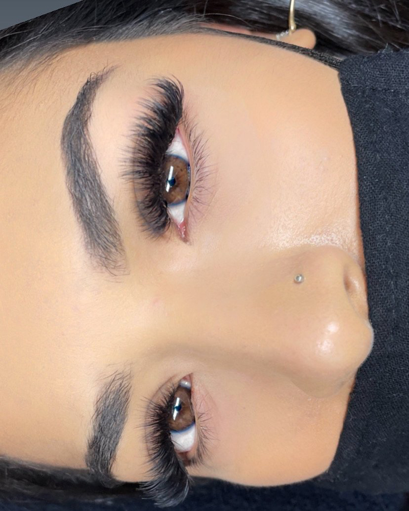 Eyelash Extensions (Mega-Volume)