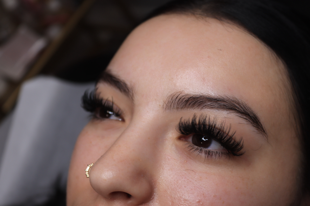 LASH FILL at M & S Wellness Spa in Tampa, FL