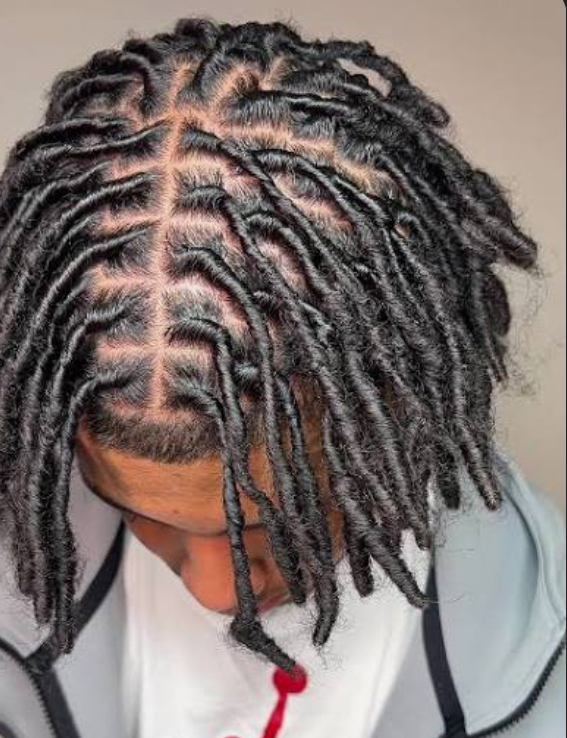 Medium Starter Locs(Starting Price)