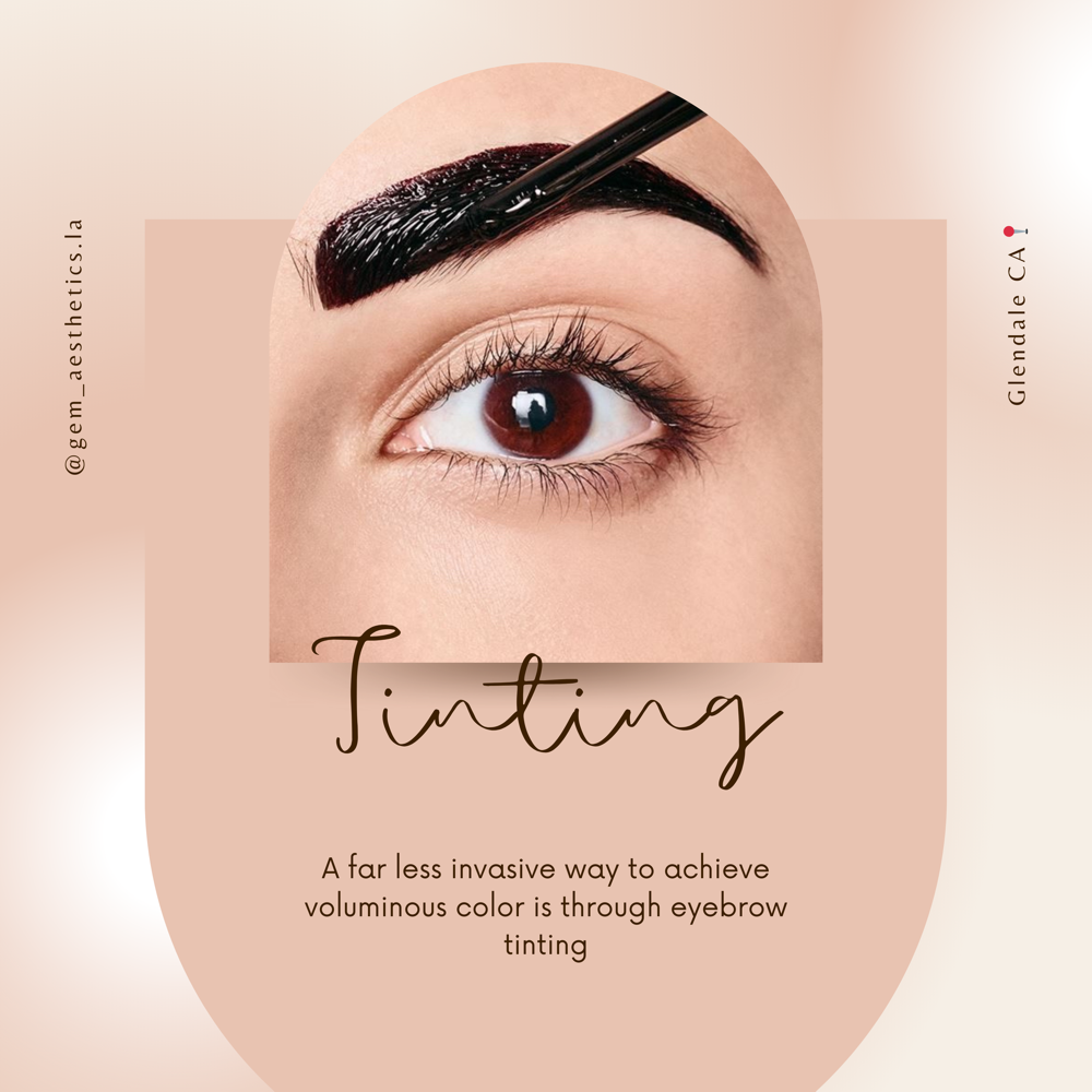 Lash/Brow Tint