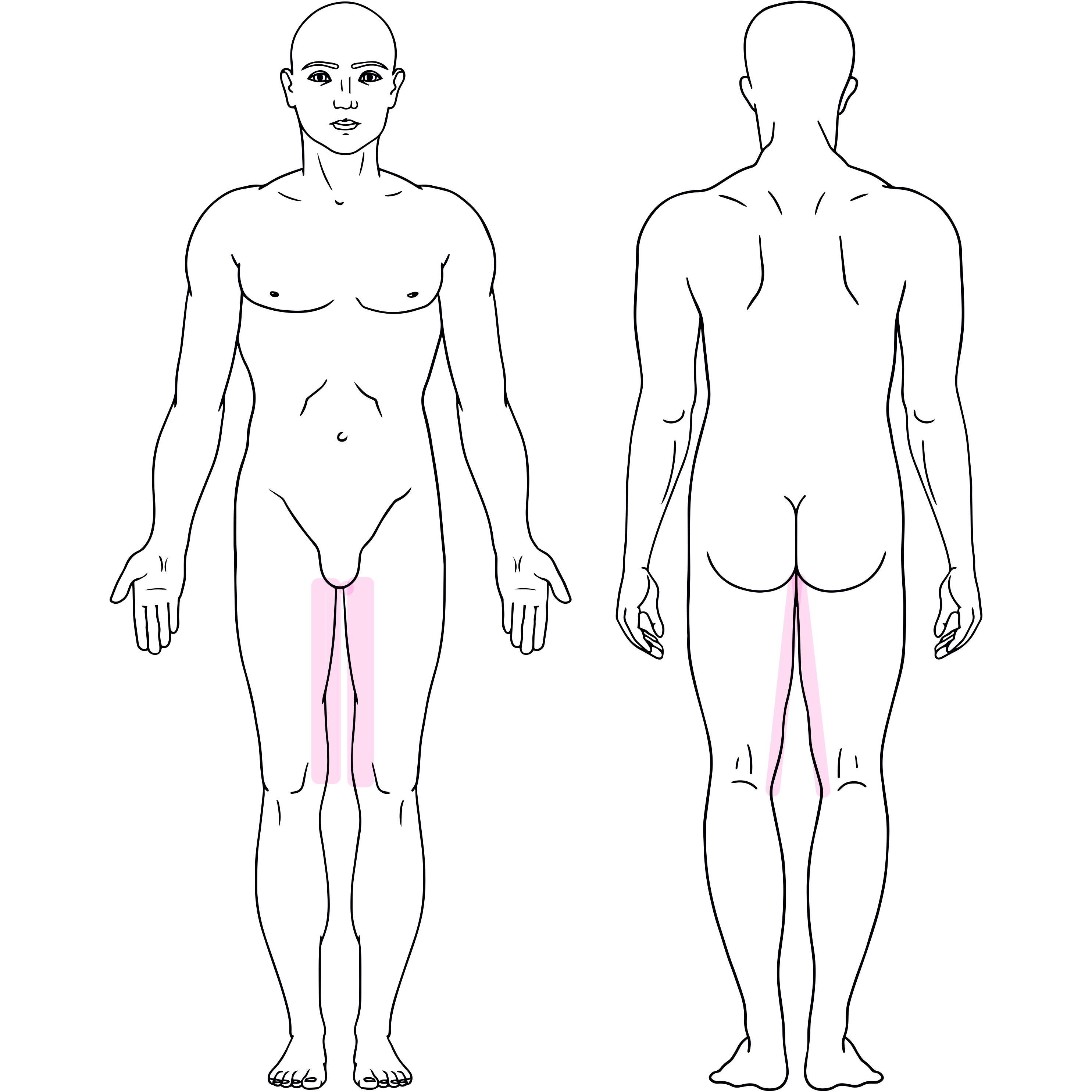 Inner Thighs