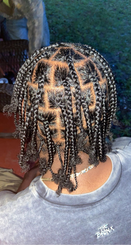 Individual Braids