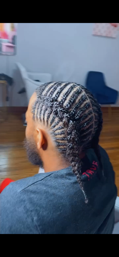 Natural Adult Freestyle Braids