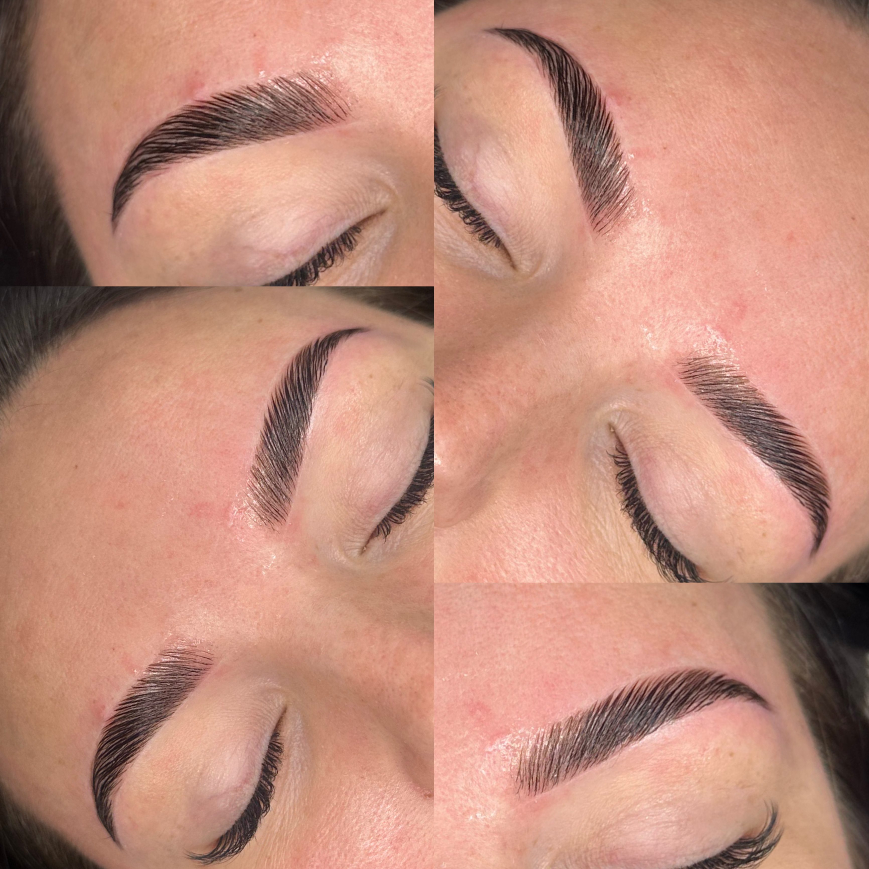 Brow Lamination w/ Hybrid Tint