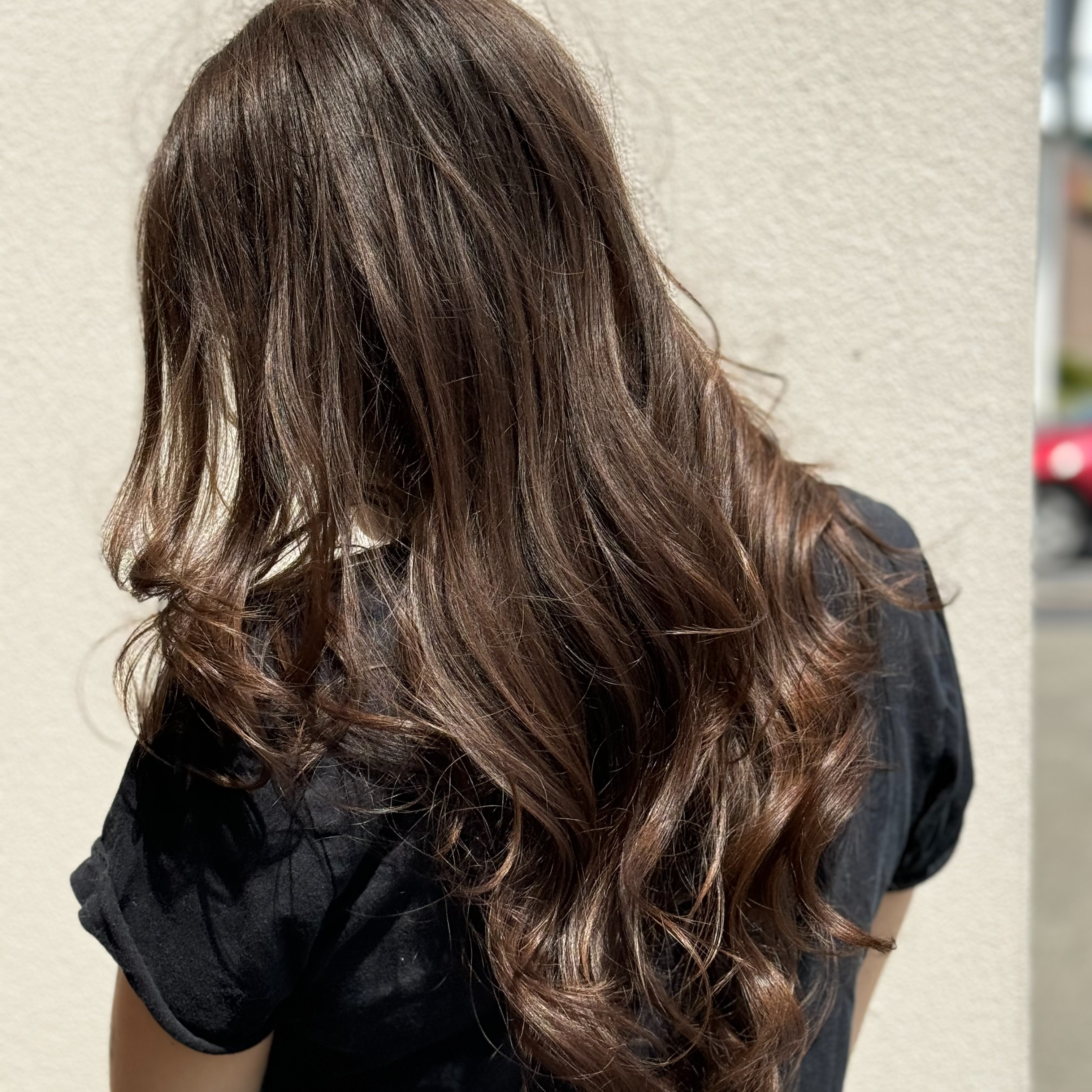 Consultation at Hair By EEmily in Shoreine, WA
