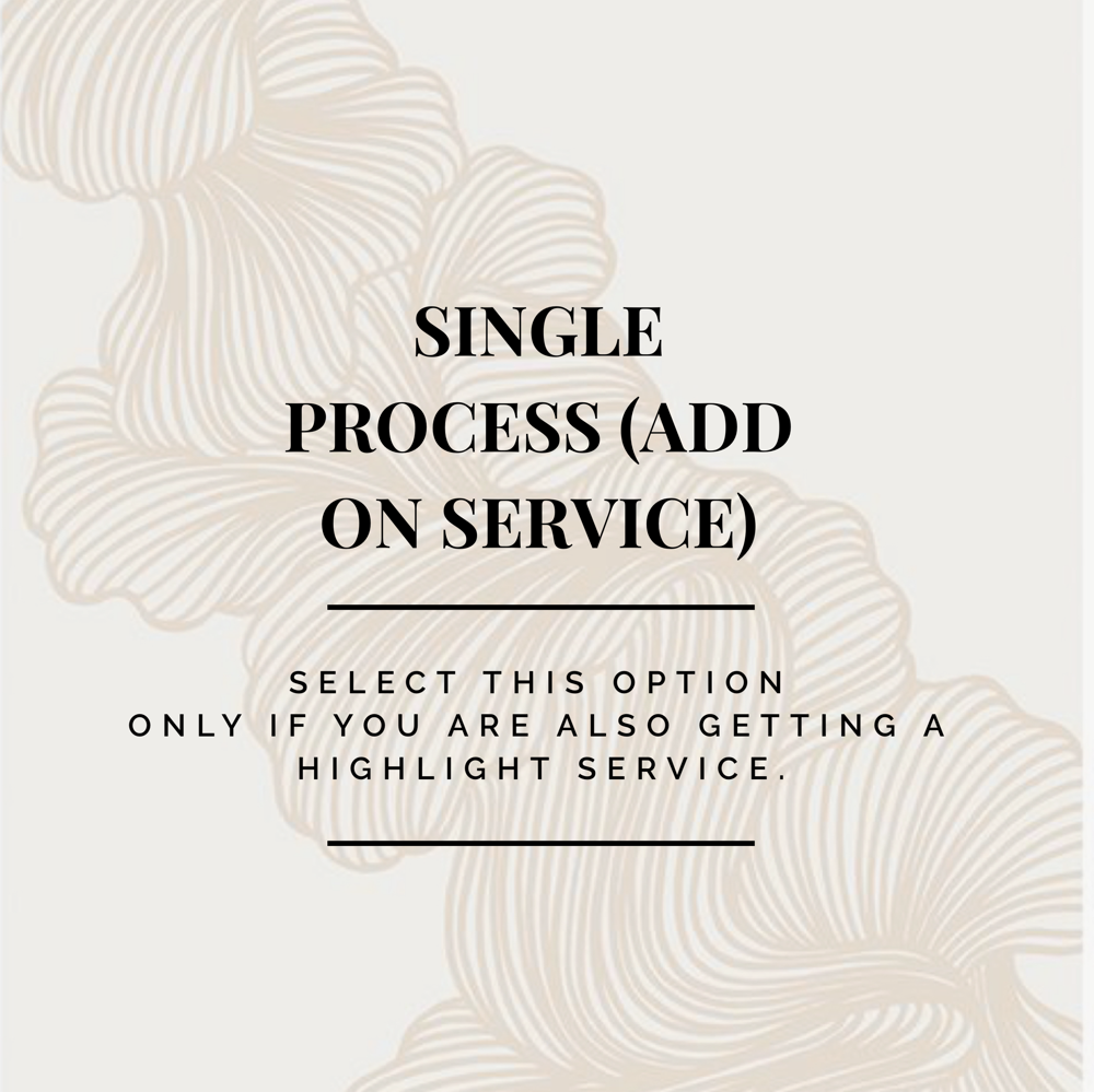 SINGLE PROCESS (ADD ON SERVICE)