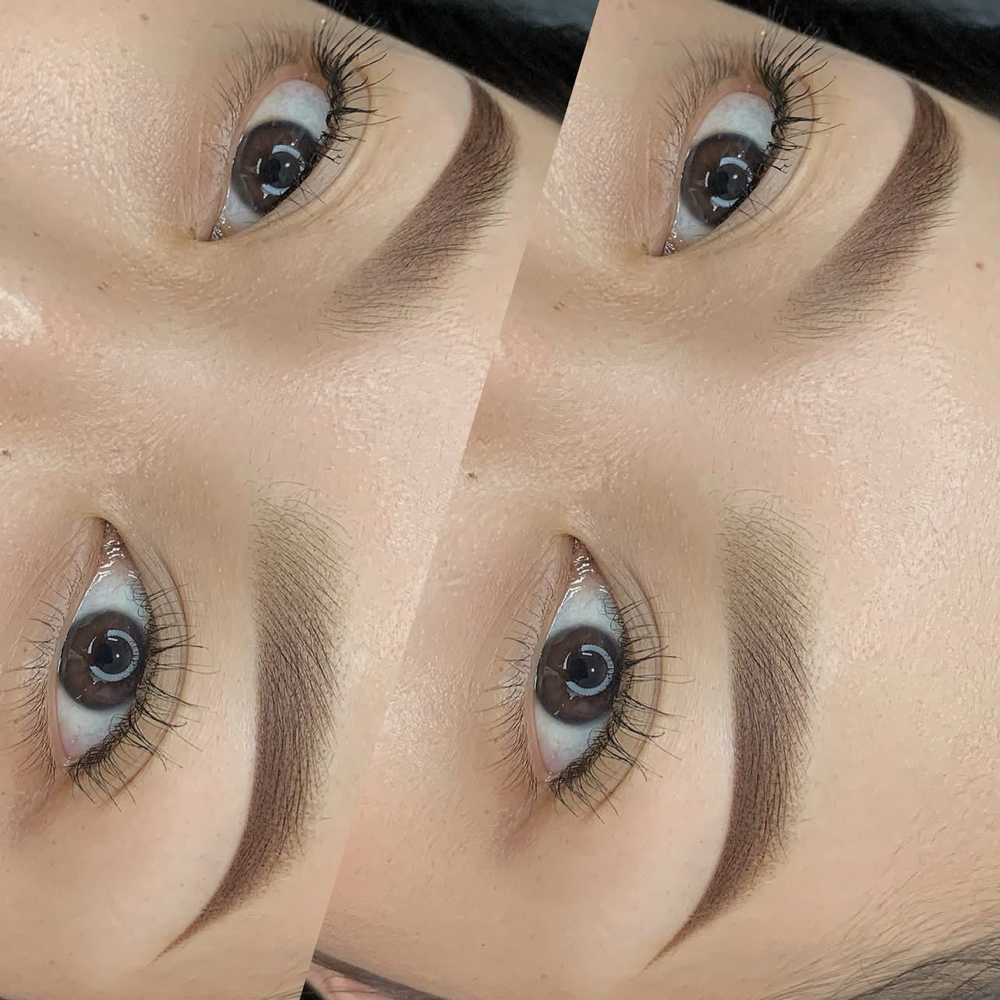 Eyebrows Touch Up After 6 Months at Mary Brows & Lashes in Campbell, CA