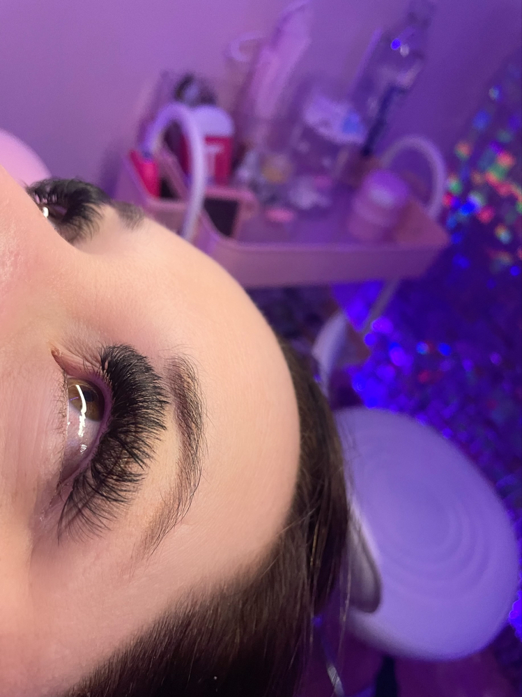 Volume Lashes