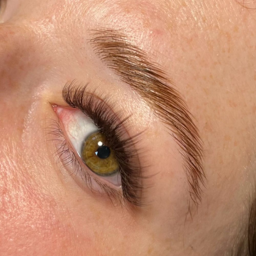 The Brow Edit at Haven House Beauty in Sarasota, FL