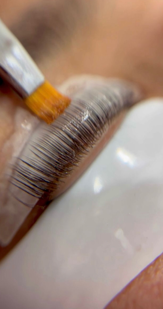 Lash Lift + Tint