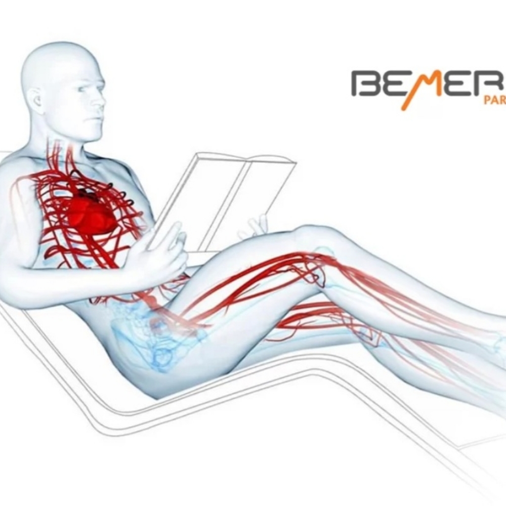 APRIL ~ Special BEMER session at Bright Willow Wellness in Lexington, VA