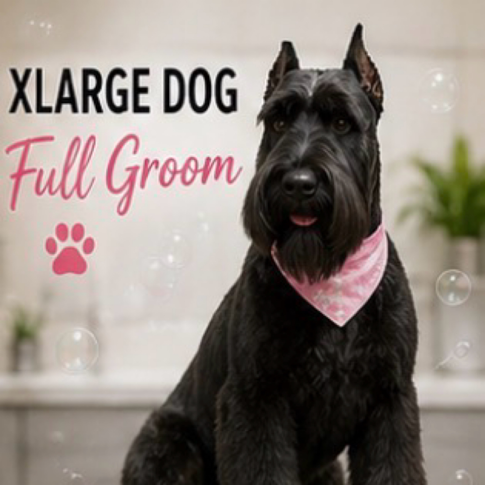 XL Dog Full Groom at Pampered Pups By Helen in Chino Hills, CA