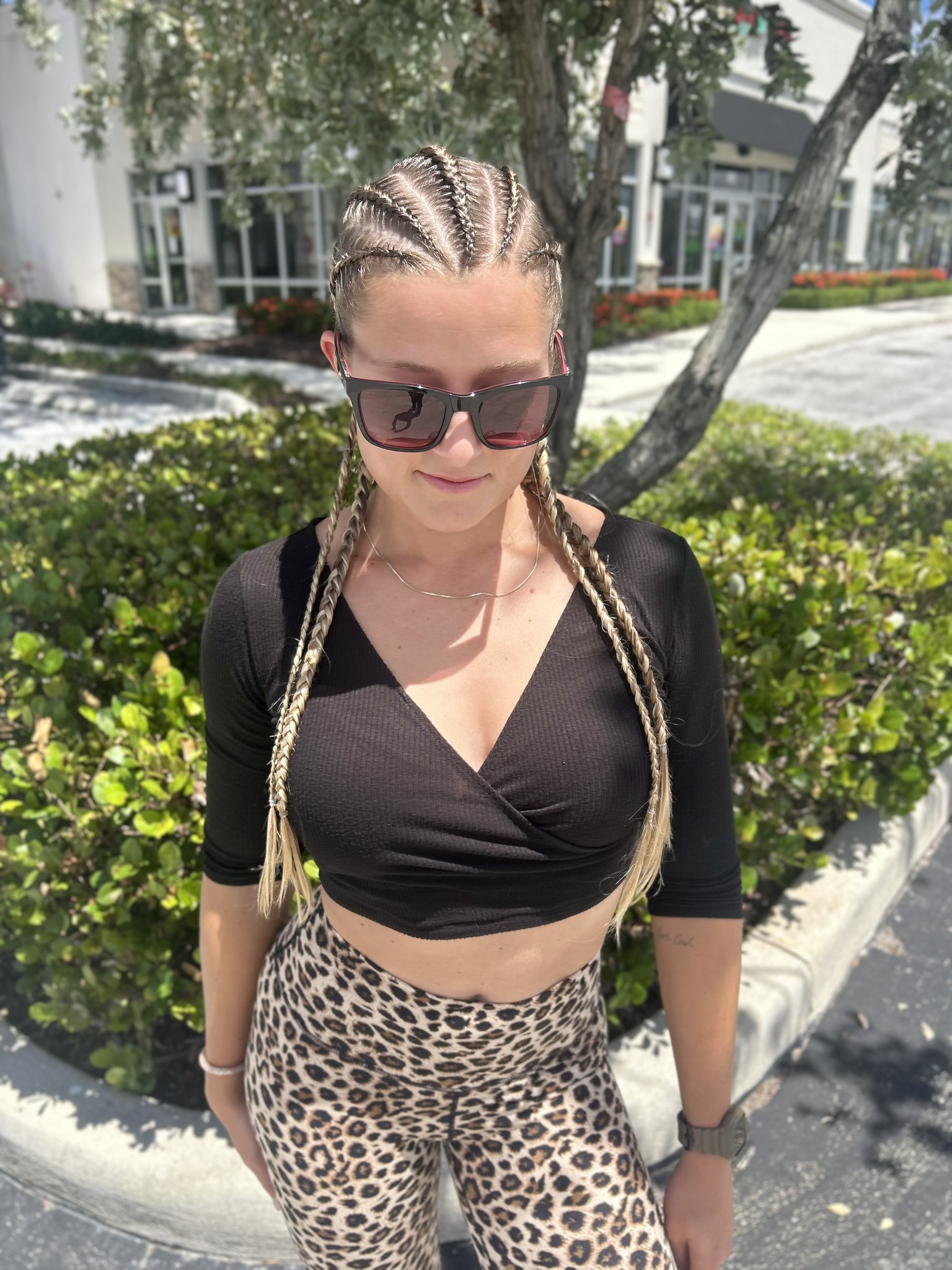 Classic Braids