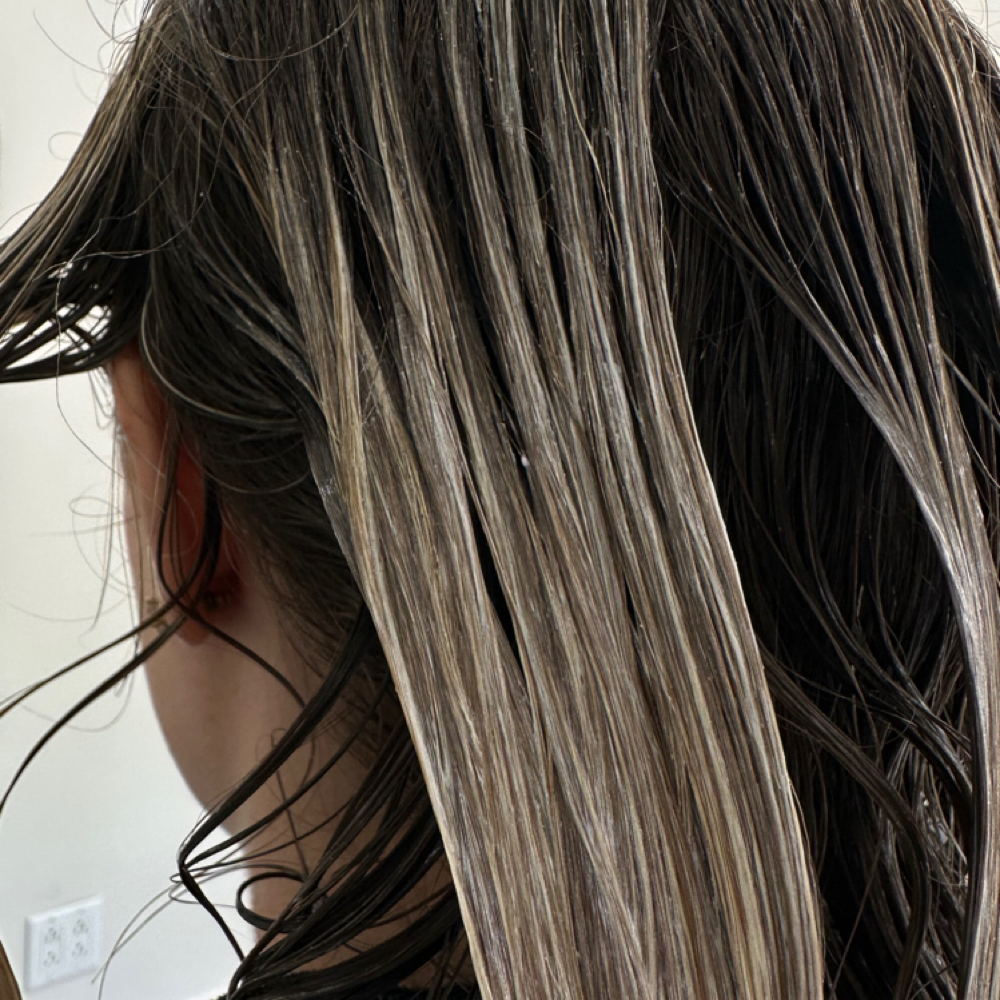 Wet Balayage at Guild + Mane Salon in Holland, MI