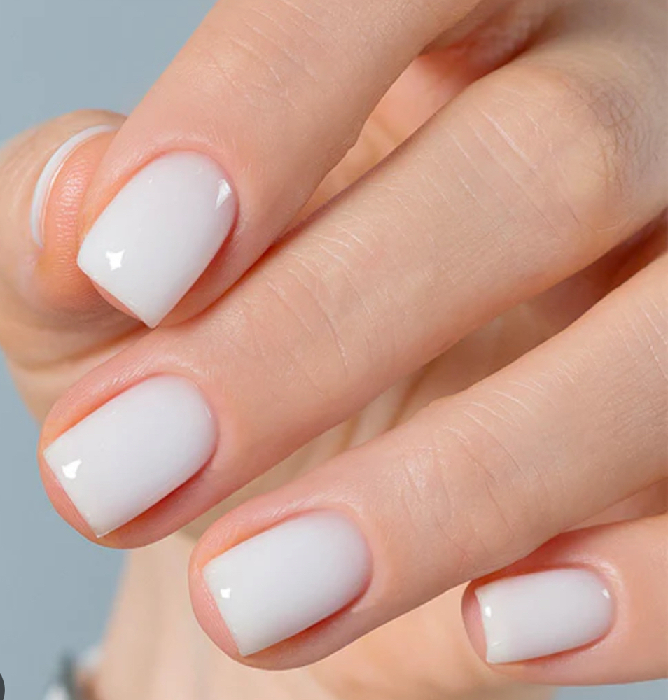 Gel Builder