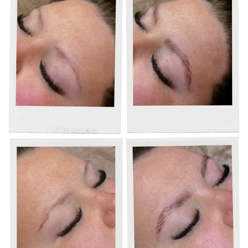 Deluxe Brows: Lamination at 417 Glam Co. in Ozark, MO