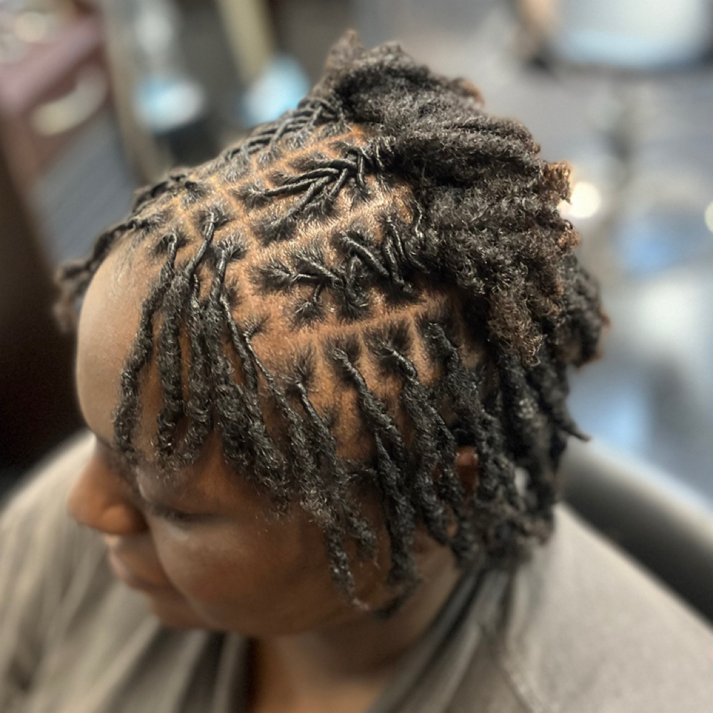 Starter Locs Two Strand Twist-Start at Melodic Roots & Wellness in Windsor Mill MD, MD