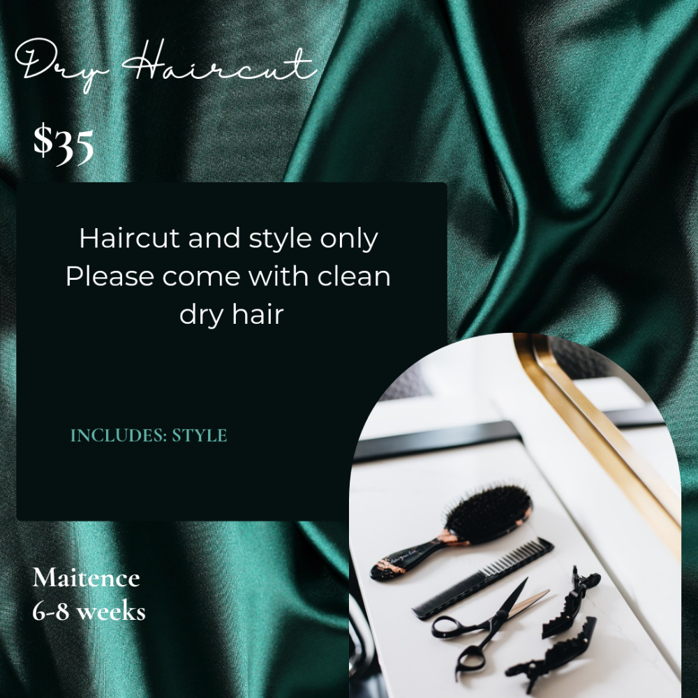 Womens Dry Haircut