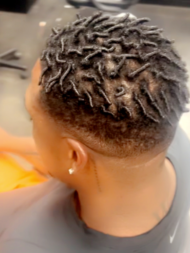 Starter Locs