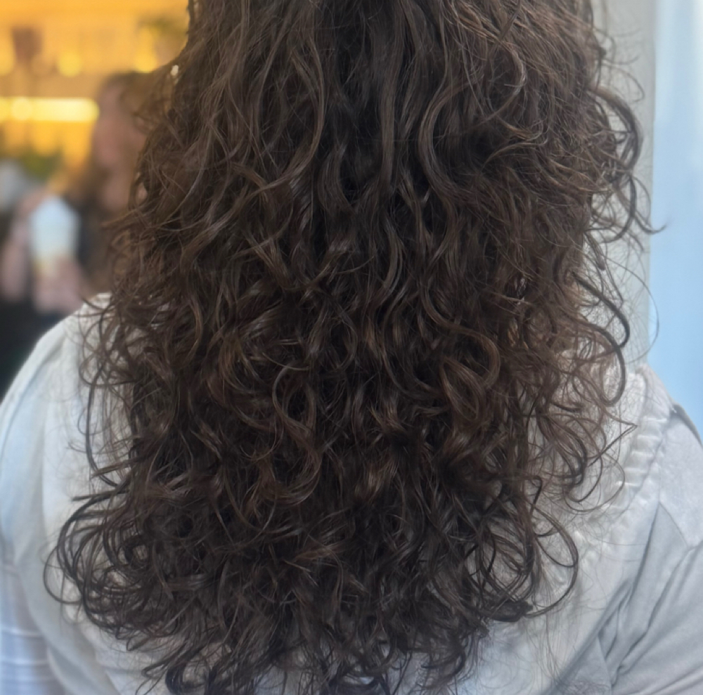 Long Curly Haircut at Studio M for Beauty in La Verne, CA