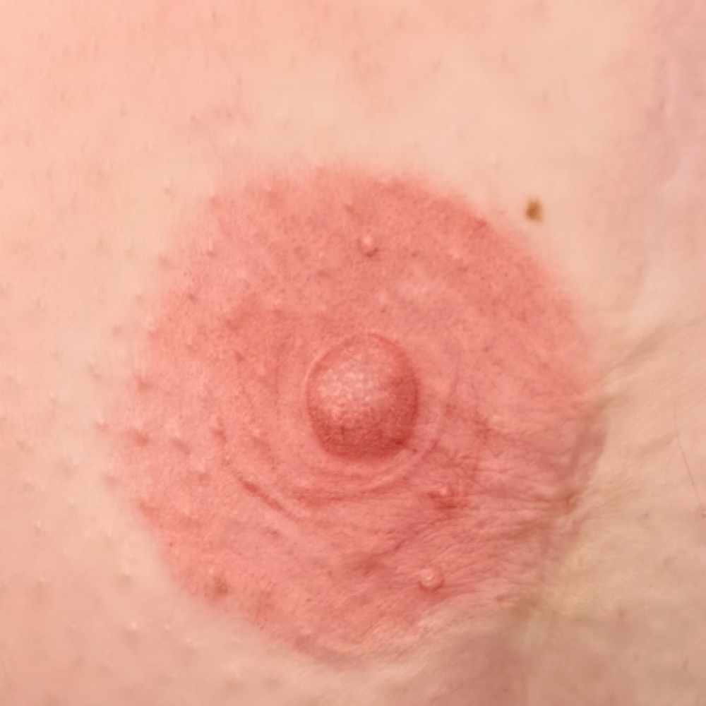 Areola Tattoo Touch Up 1yr+ at Vanity Tattoo in Indianapolis, IN