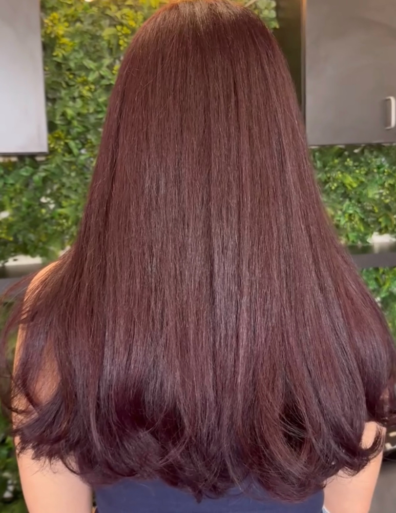 Full Head Color at Zcbeautyy in Canton, MI