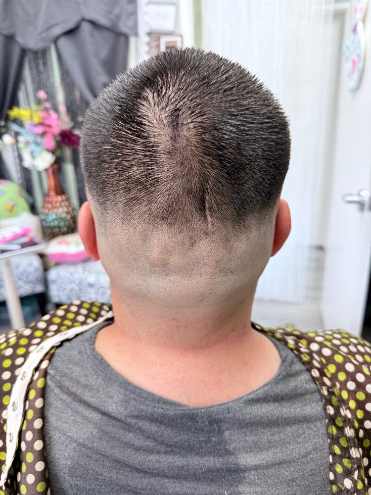 Clipper Cut