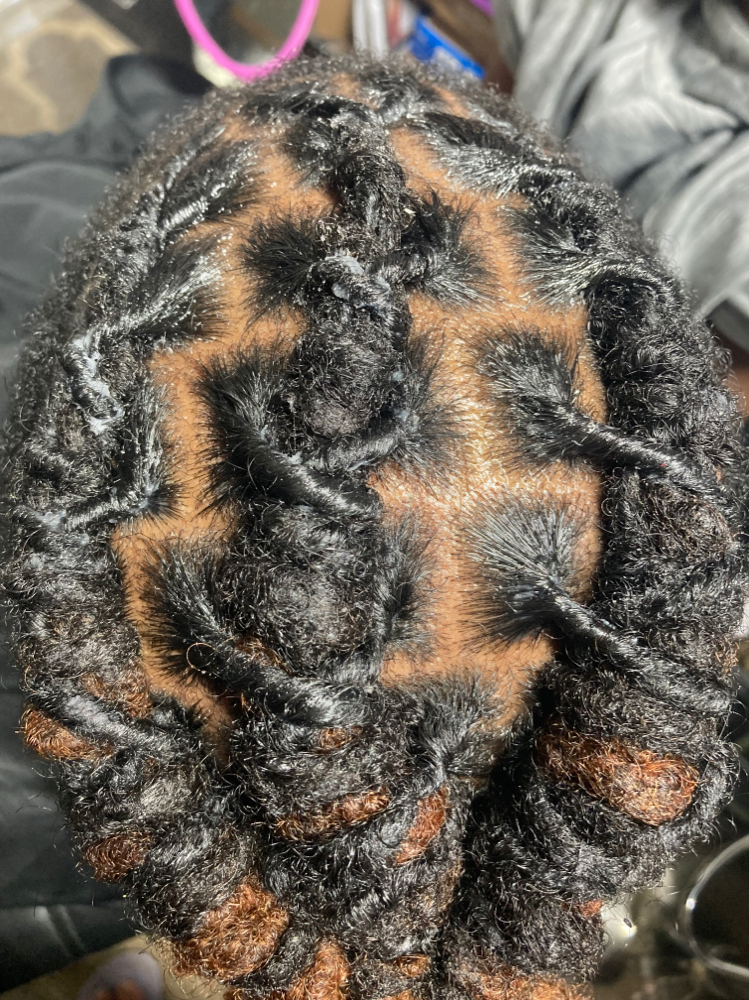 Shampoo Dread Retwist Basic Length