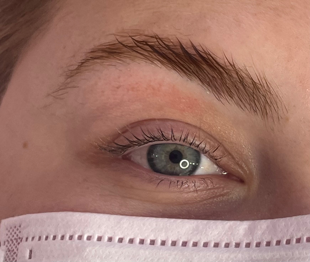 Brow Lamination/Tint