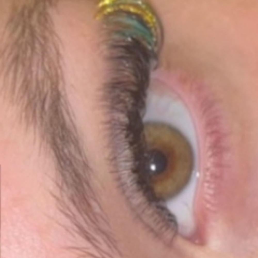 6D FULL VOLUME at Lashes by Sadie in Arab, AL