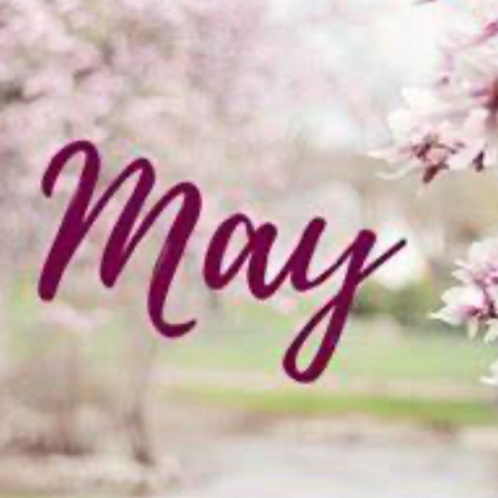 May Special: The French Facial at Danelle French Aesthetics in Indianapolis, IN
