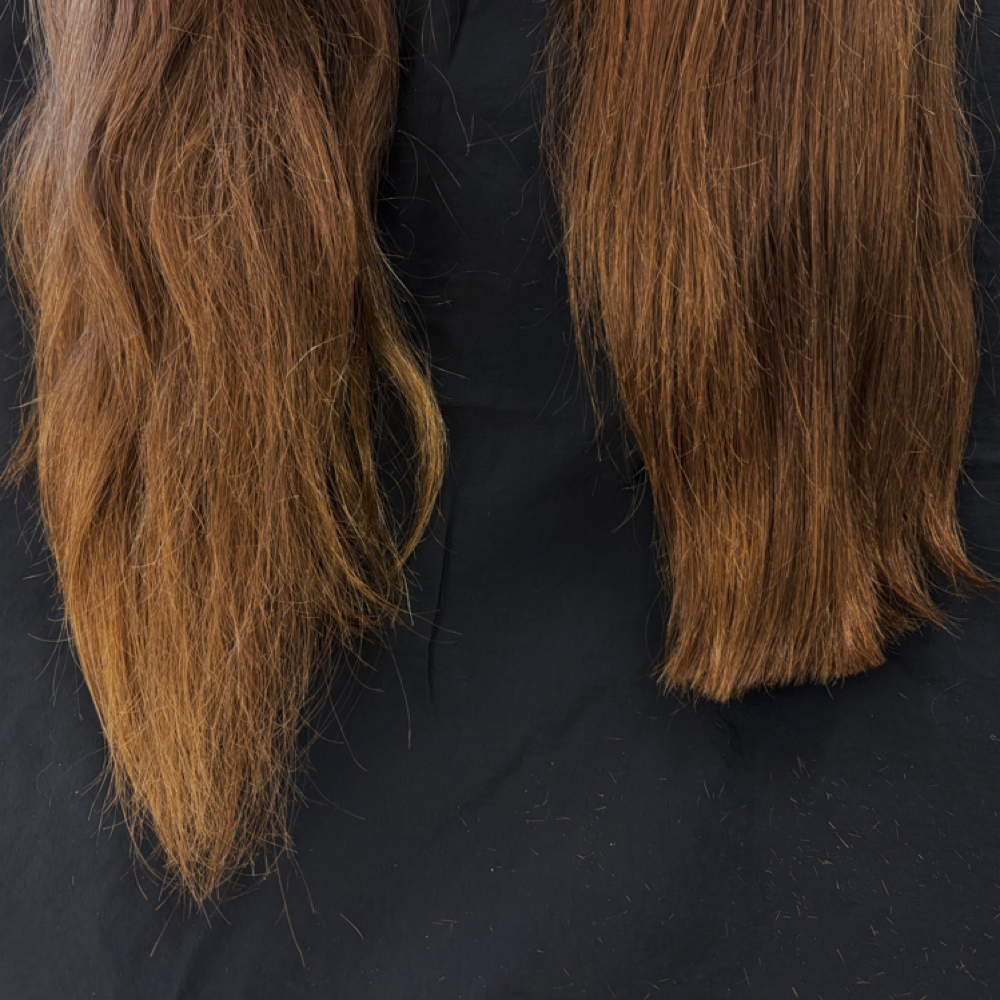 Haircut + blowout (with Bella) at Glossed Beauty Bar in Fort Myers, FL