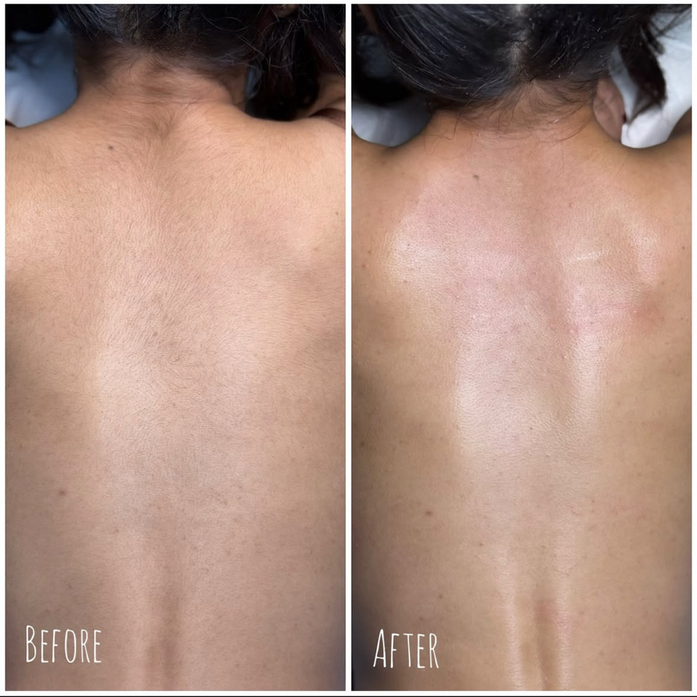 Back Wax at The Pink Beauty Lab in Lakeland, FL