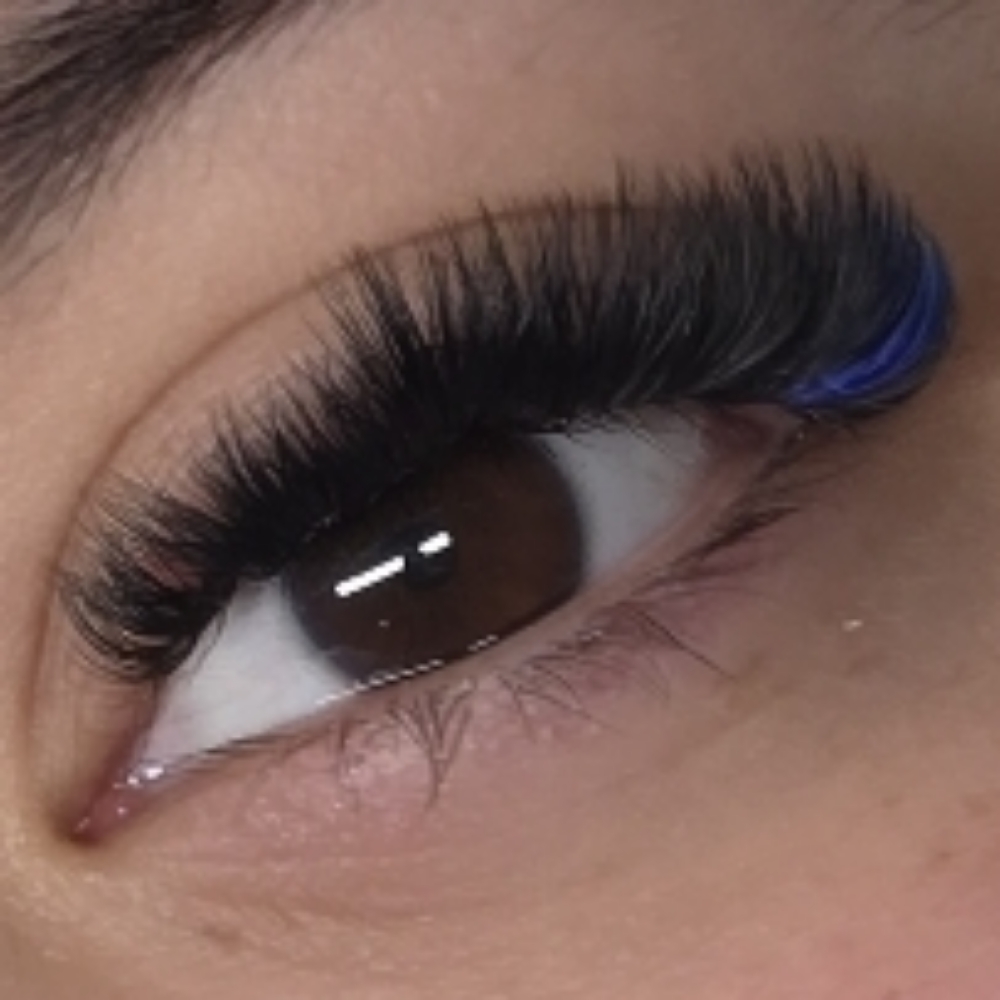 Color Lashes at Bee's Hive Aesthetics in Arlington, TX
