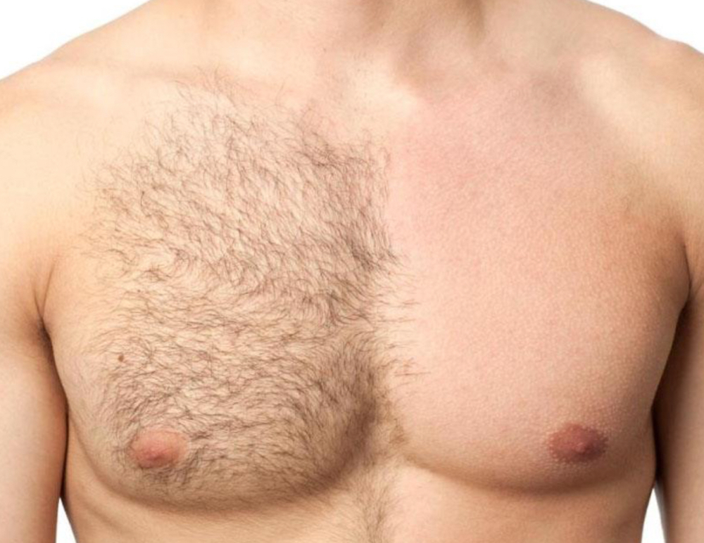 Chest/Pecho