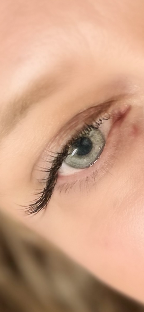 Classic Lashes