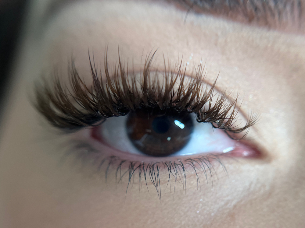 Volume Lash Fill (2wks)