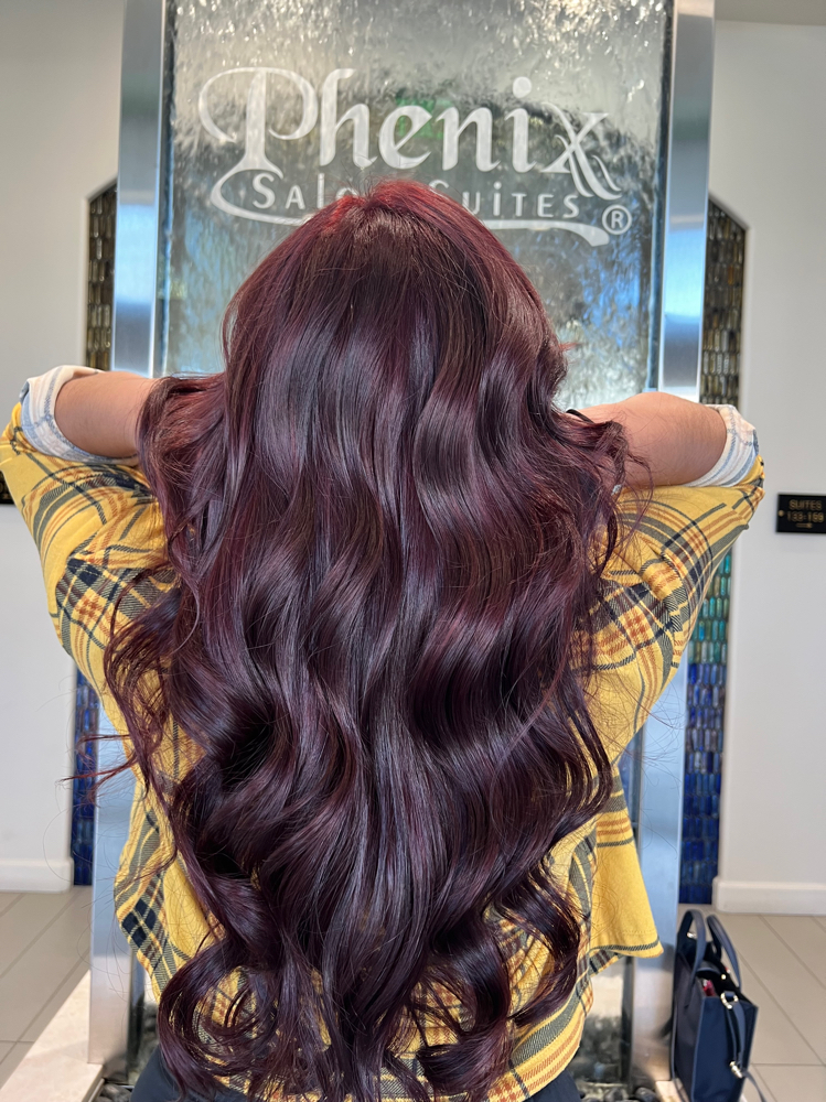 Solid All Over Color with Blowdry at VOCÊ  BEAUTY  SALON in Northridge, CA