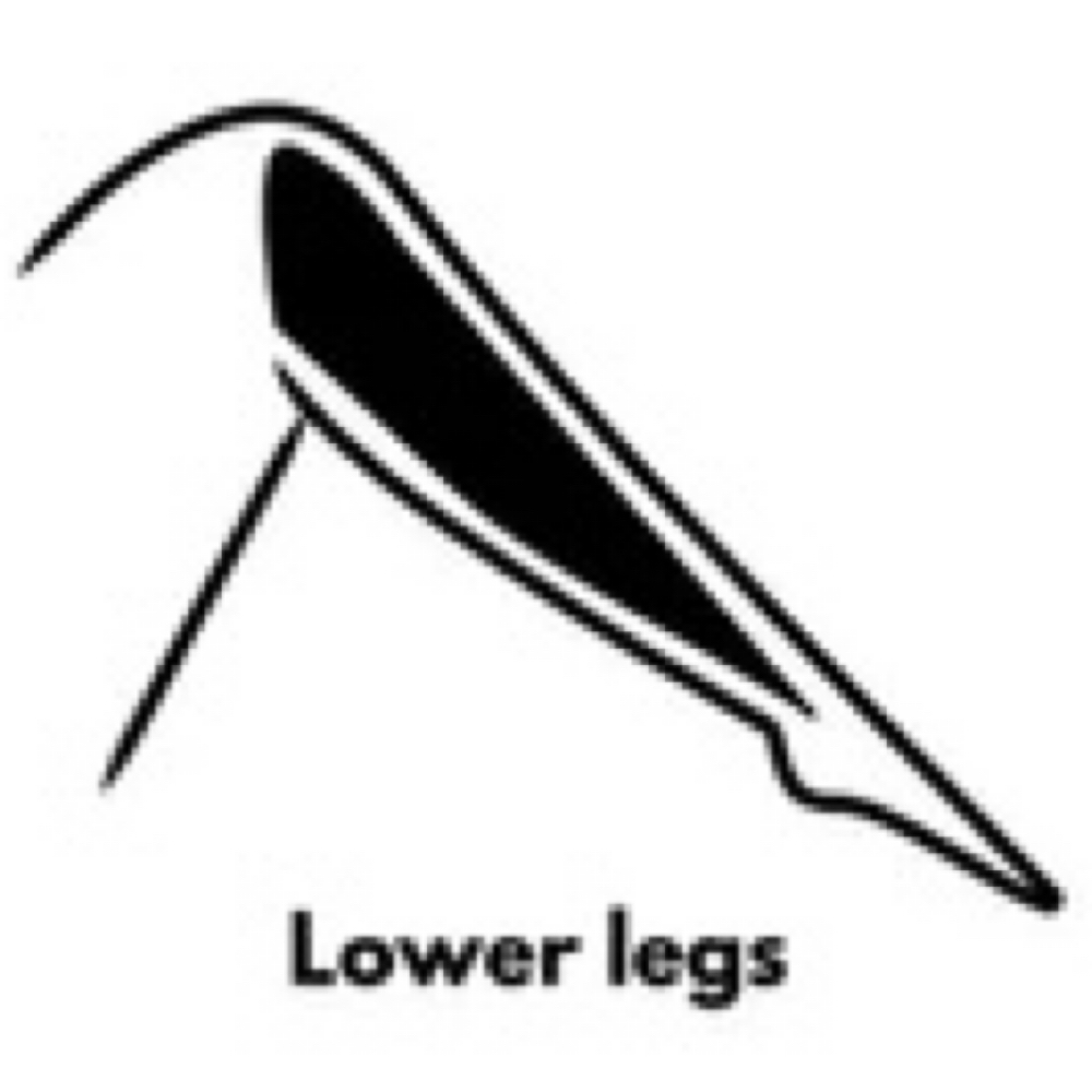 Legs (LOWER) at ThePurpleWaxSuite in Florence, KY