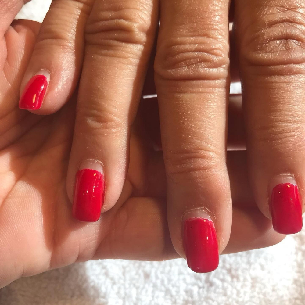 Overlay Shellac Fill-In