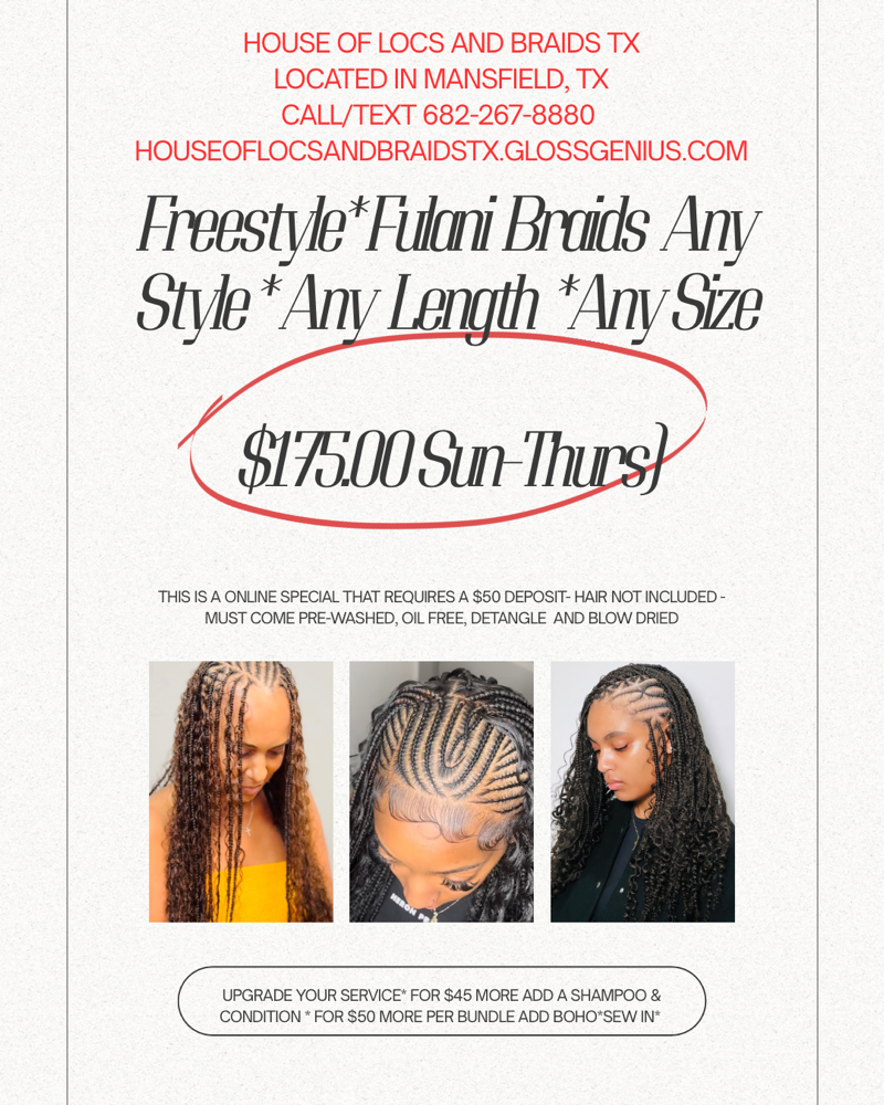 🌟 Freestyle Fulani Braids Special