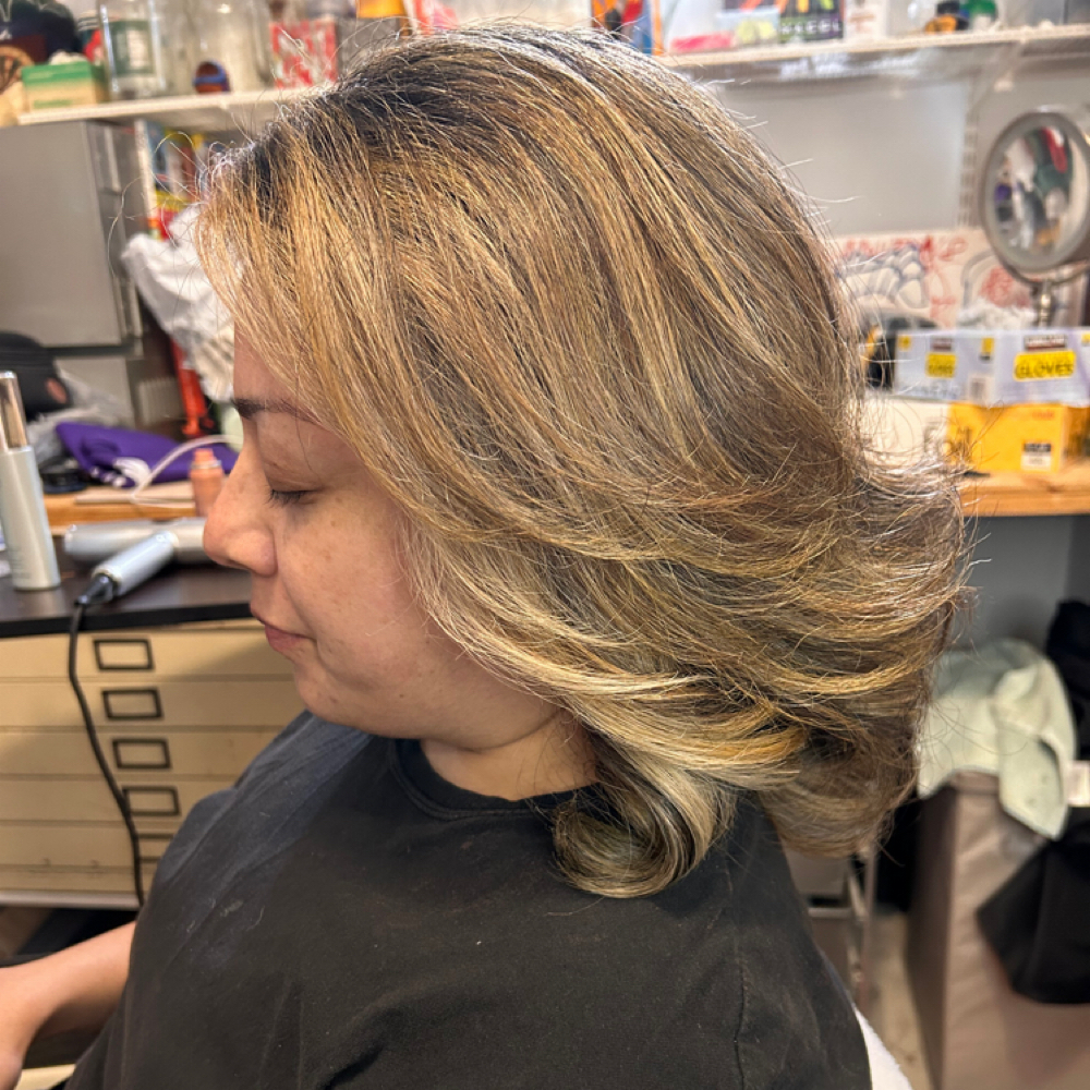 Balayage/Highlights