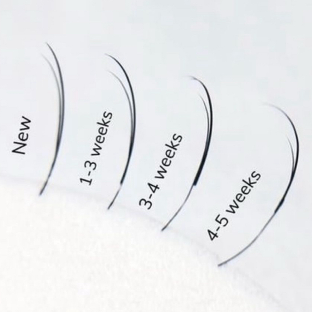 EXTENDED LASH FILL (+ 3 WEEKS) at Sunday Studio Lash & Co. in Moraga, CA