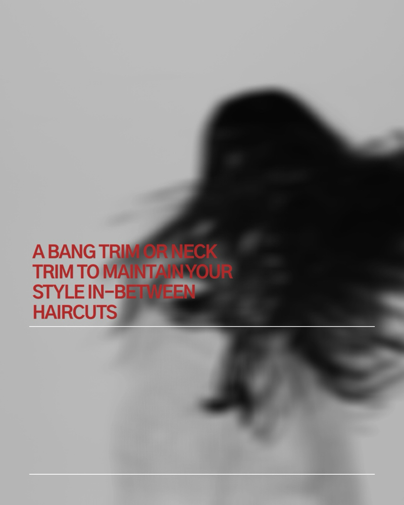Mini Trim