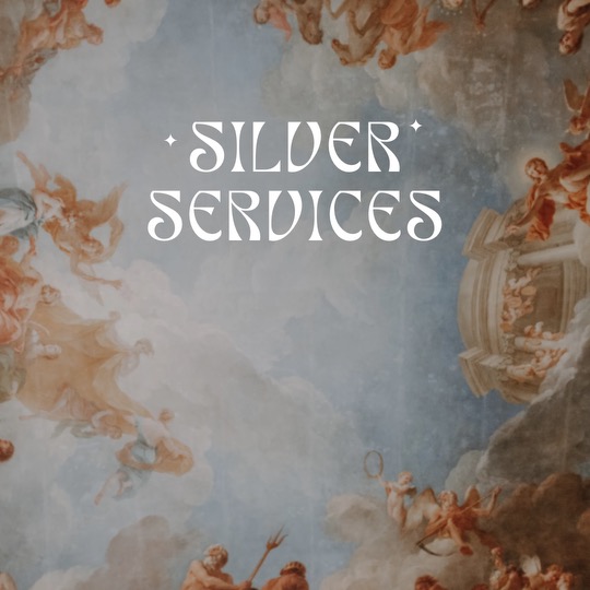 Silver  Highlight Services