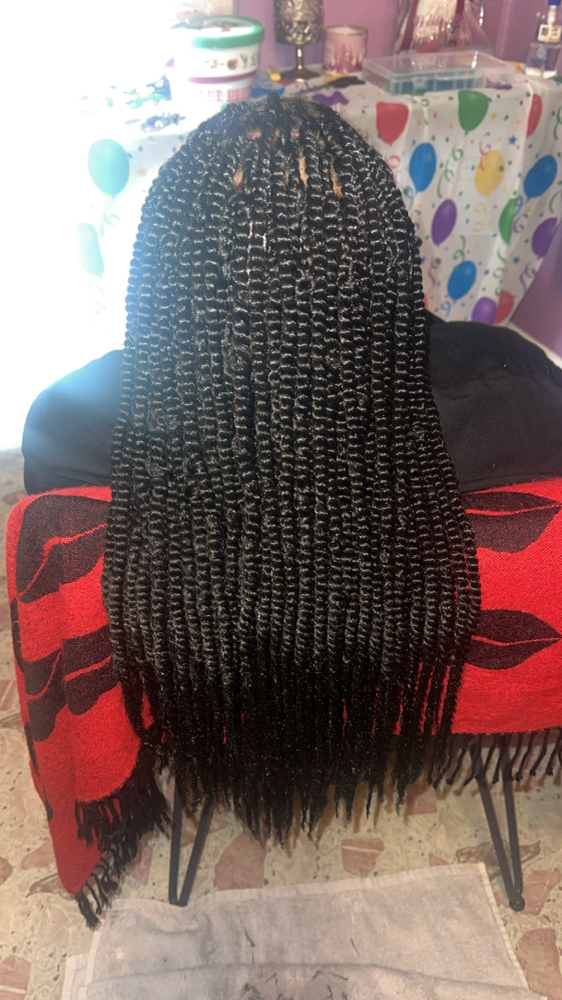 Twist Braids
