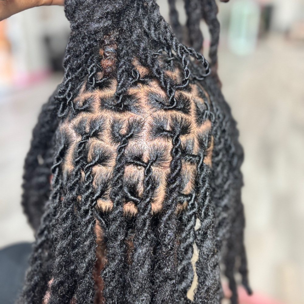 Loc Two Strand/ Fish Tail at LocNLashOut in Memphis, TN