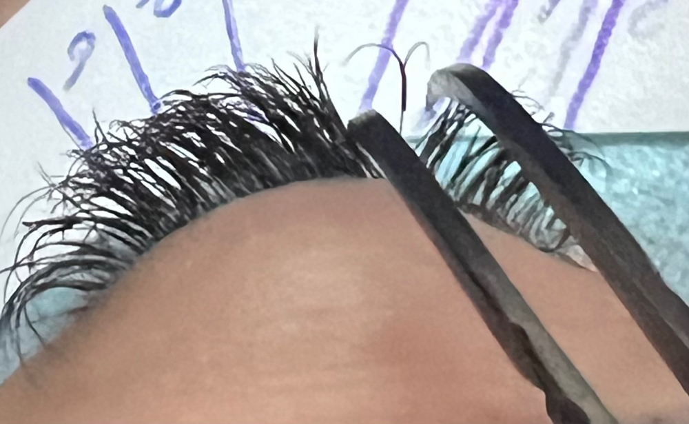 Hybrid 3 Week Fill