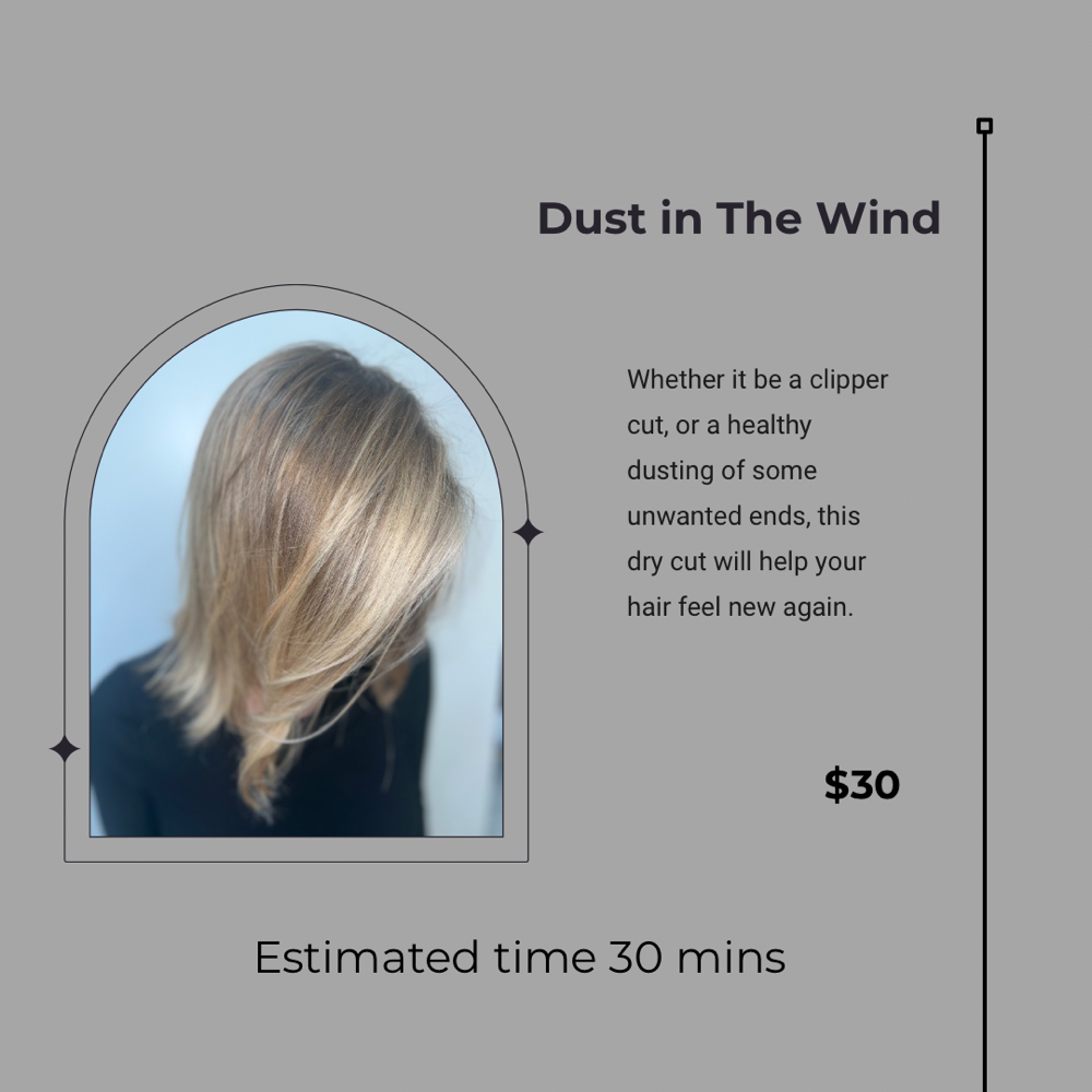 Dust in The Wind