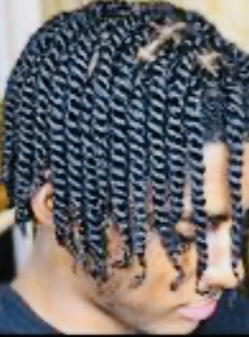 Plaits- two strand Twist (max 90)